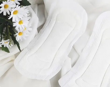 Smart Travel with Bulk Sanitary Napkins: A Woman’s Trusted Companion on the Go