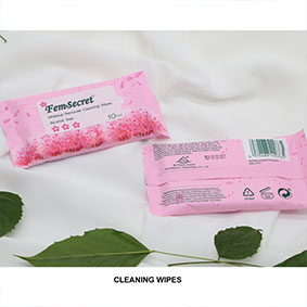 10pcs Make Up Remover Wet Wipes 1
