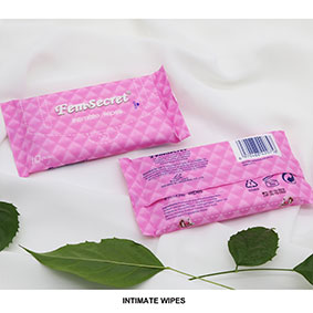 10pcs Make Up Remover Wet Wipes