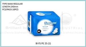 BI FS PE 2504 (1)