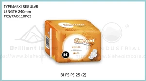 BI FS PE 2504 (2)